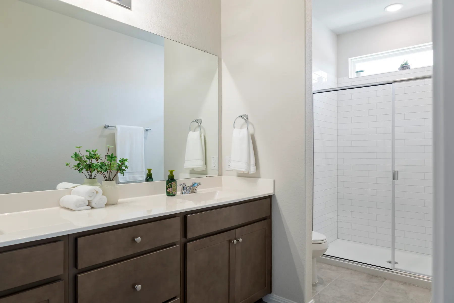 Primary bathroom vanity and glass shower