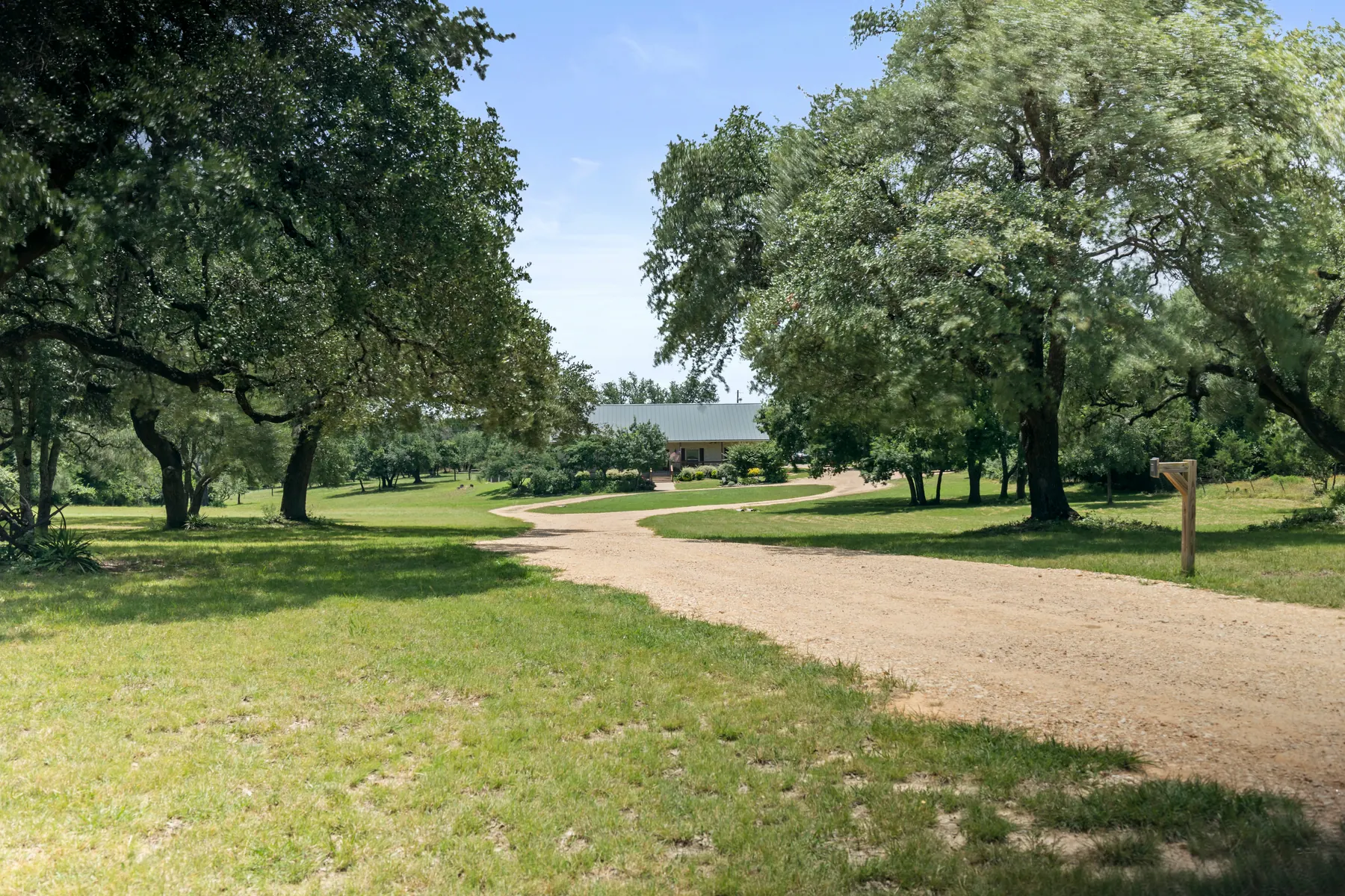 Tree-lined drive through the property